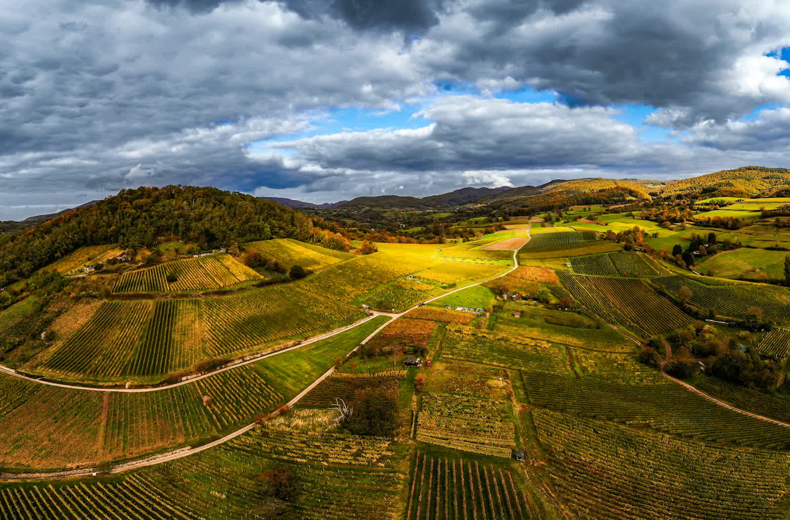 Coteaux de vignes vus du ciel sous un ciel changeant