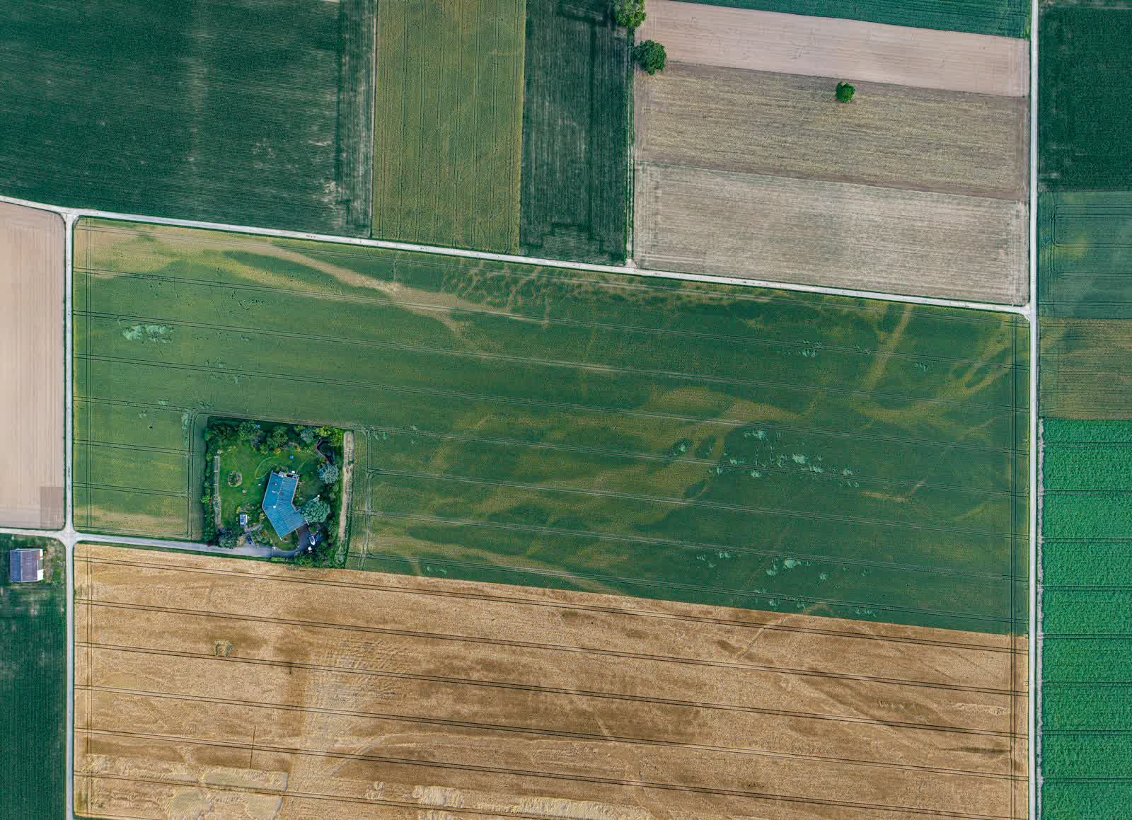 Top-down orthophoto-style view of farmland parcels captured by drone